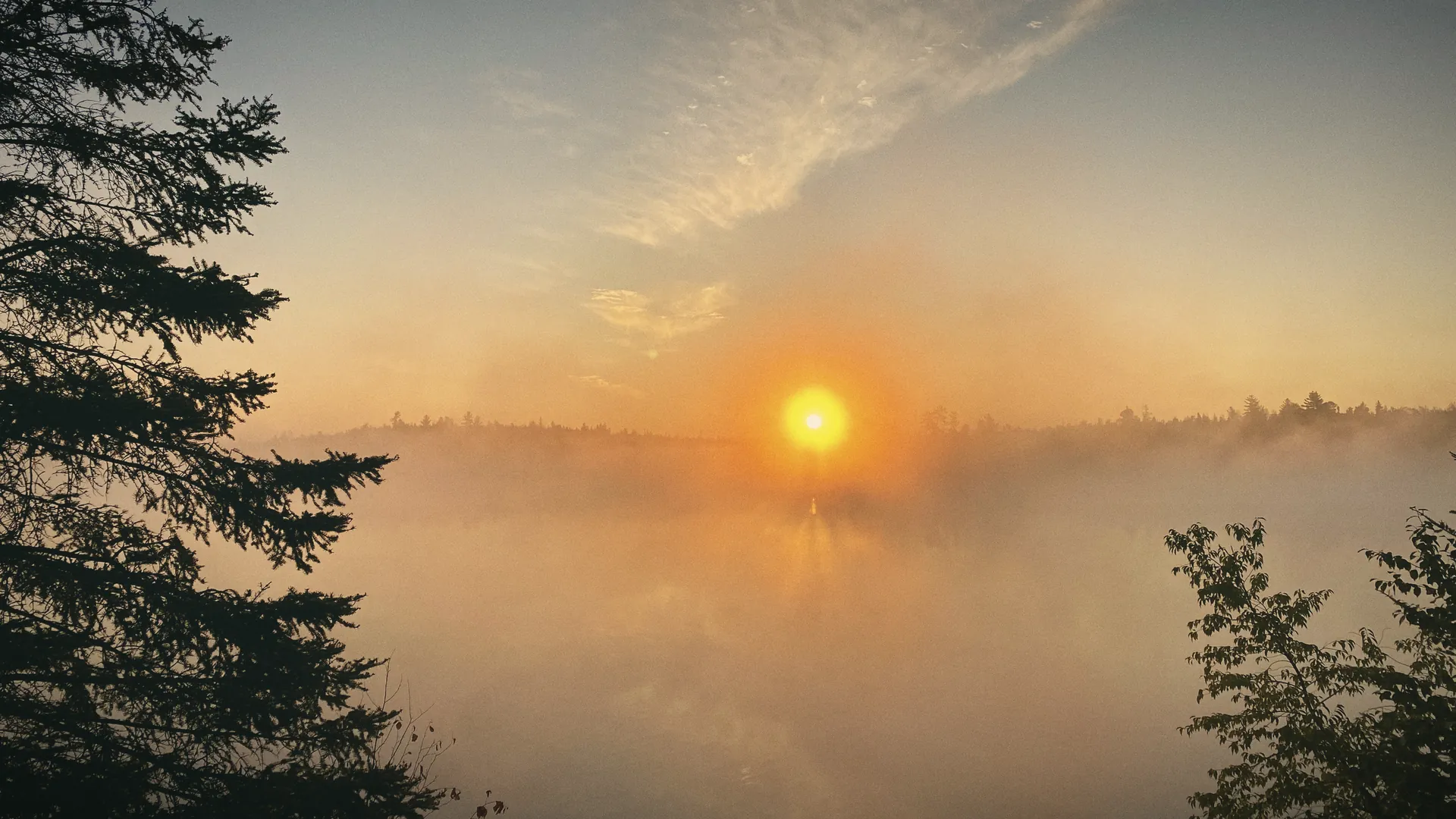 Sunrise through mist over a northern lake, pines in silhouette