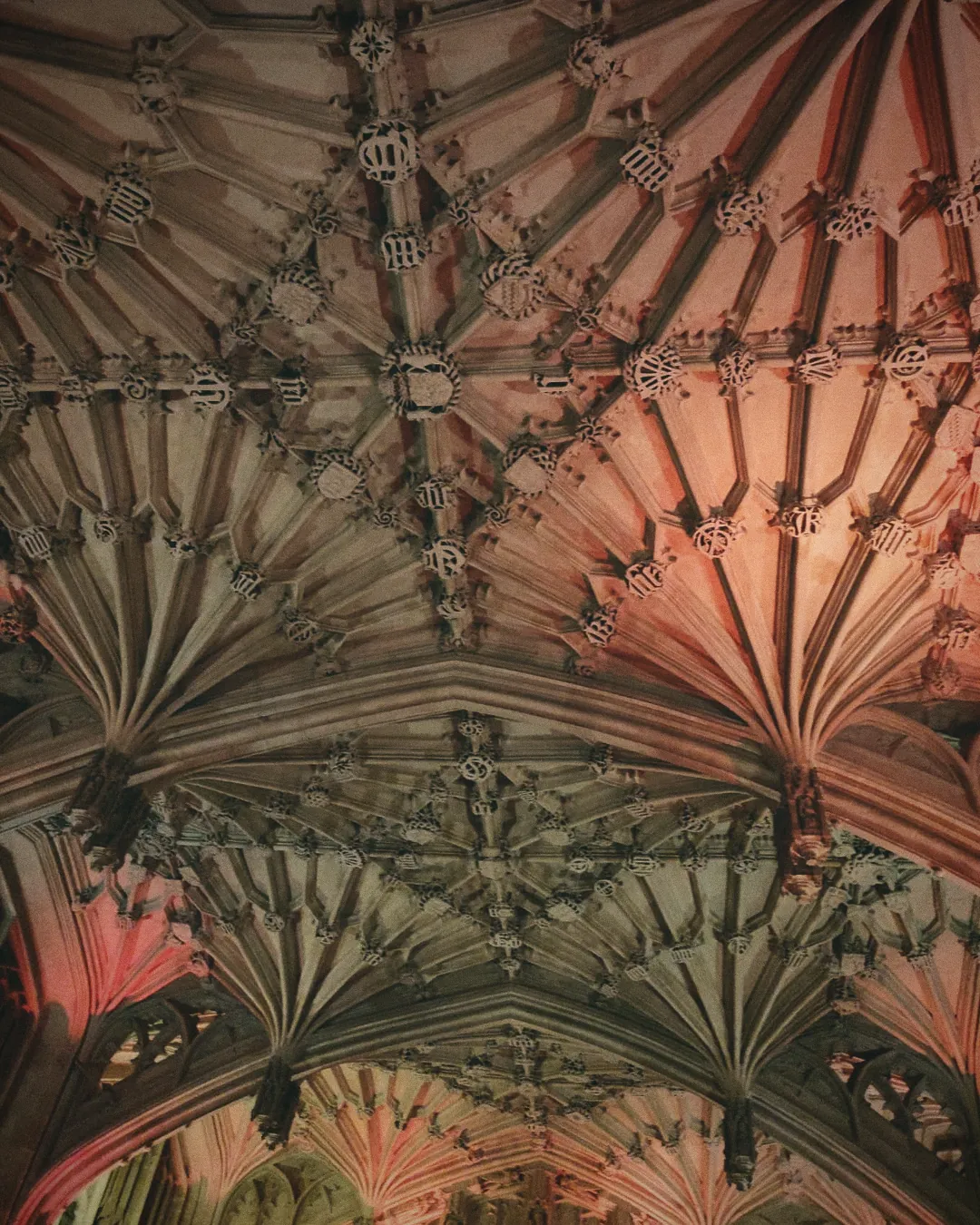 A fan-vaulted stone ceiling at Oxford
