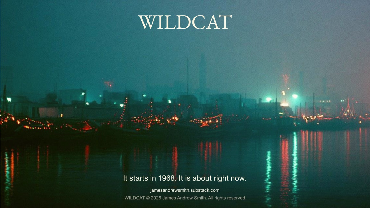 WILDCAT title slide: the word WILDCAT over a night photograph of Dubai Creek, dhows strung with lights reflected on the water