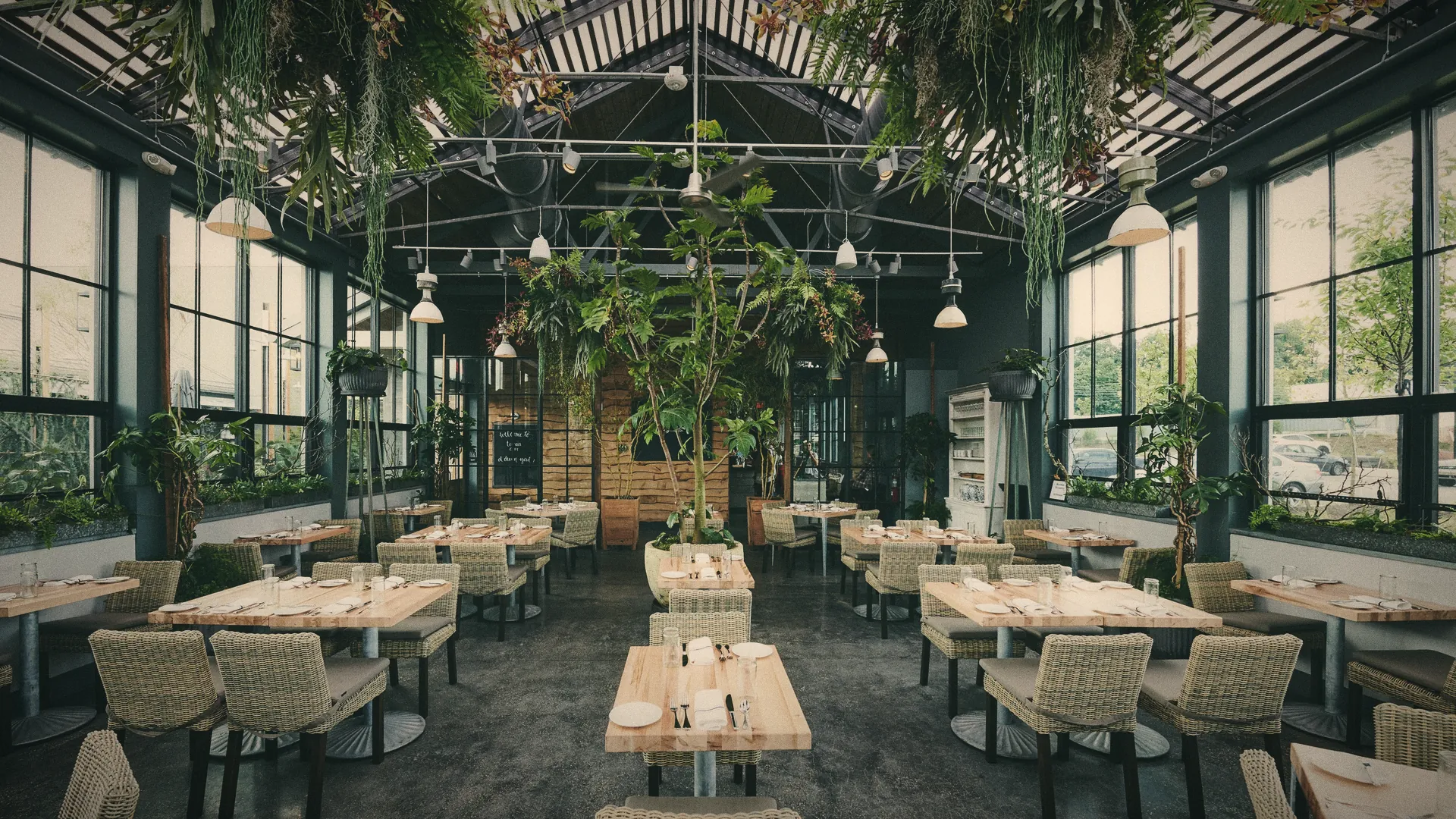 A glasshouse caf&eacute; with trees growing inside it