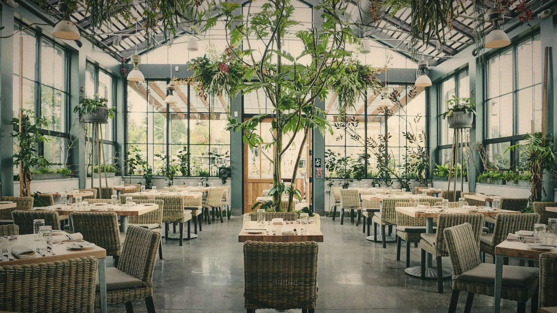 A glasshouse dining room under hanging plants, set for lunch