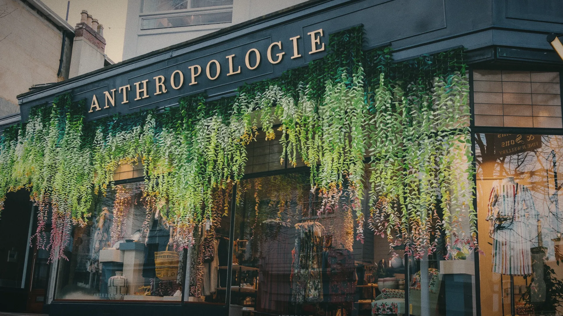 A shopfront on the King&rsquo;s Road under a curtain of hanging plants
