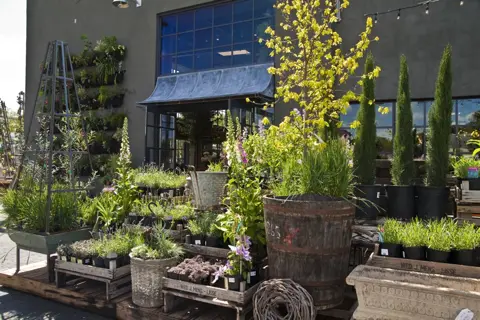 Terrain, the garden