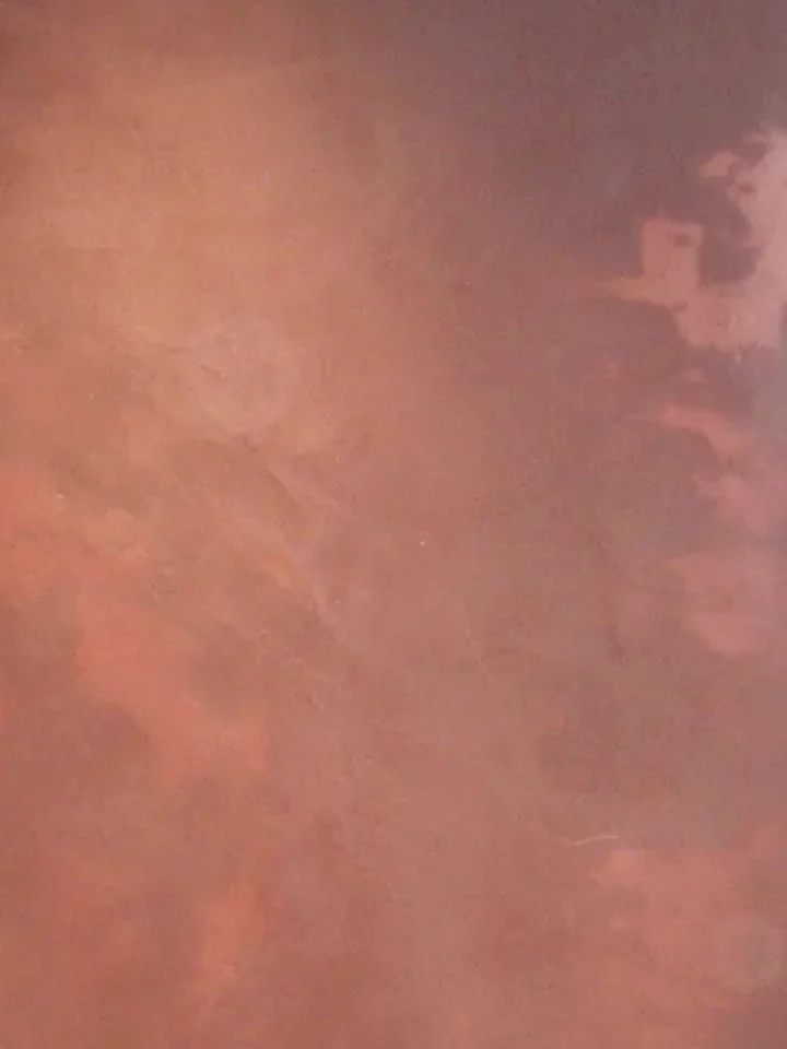 Specimen M-04: plaster wall, rose over rust